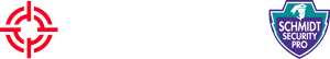LiveOpsVideo Logo